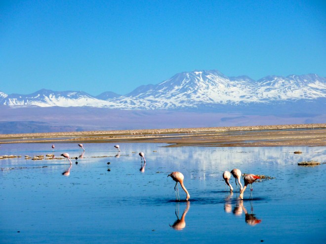 Salt flats
